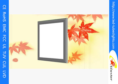Koele Witte Vierkante 18W LEIDEN Plafondlicht Geen het Trillen/300 x 300 LEIDEN Comité