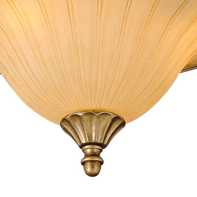 9 de lichte Verlichting van de Woonkamer Decoratieve Moderne Kroonluchter met het Zilveren/Gouden Schilderen