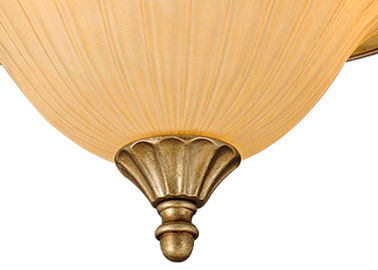 Kroonluchter 9 van het luxe Europese Moderne Smeedijzer Licht voor Huisdecoratie 900W AC 110 - 240V