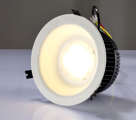 Opgezette de oppervlakte leidde Downlights 5W 8W 15W 30W AC96-265V het 3 Duim LEIDENE In een nis gezette warme wit van Downlight
